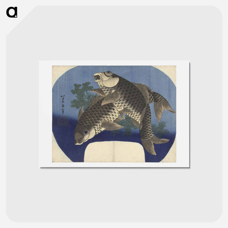 アートポストカード-Carp Swimming by Water Weeds - 葛飾 北斎 Postcard.