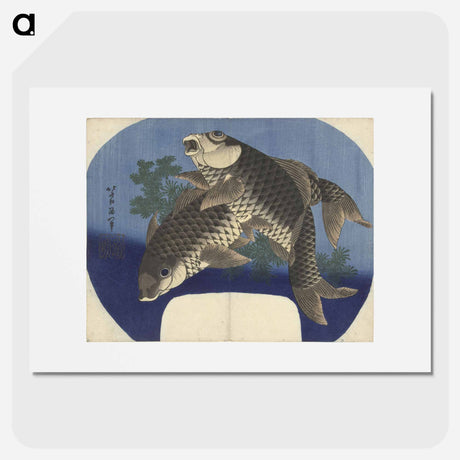 アートポスター-Carp Swimming by Water Weeds - 葛飾 北斎 Poster.