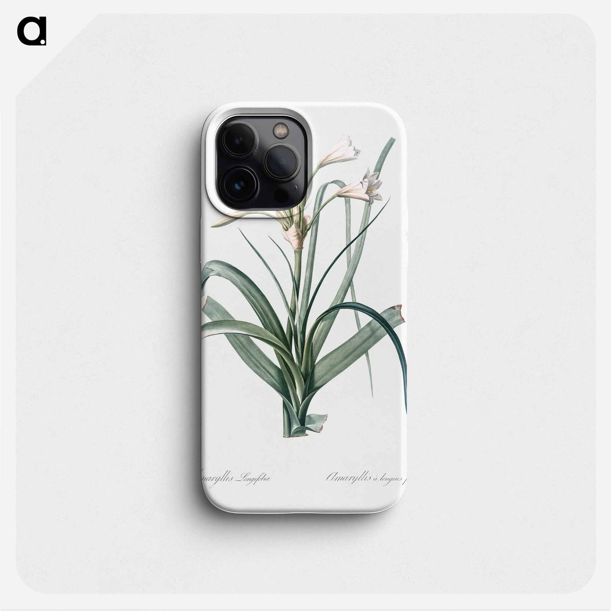 Malgas lily illustration - Pierre Joseph Redouté Phone Case.