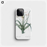 Malgas lily illustration - Pierre Joseph Redouté Phone Case.