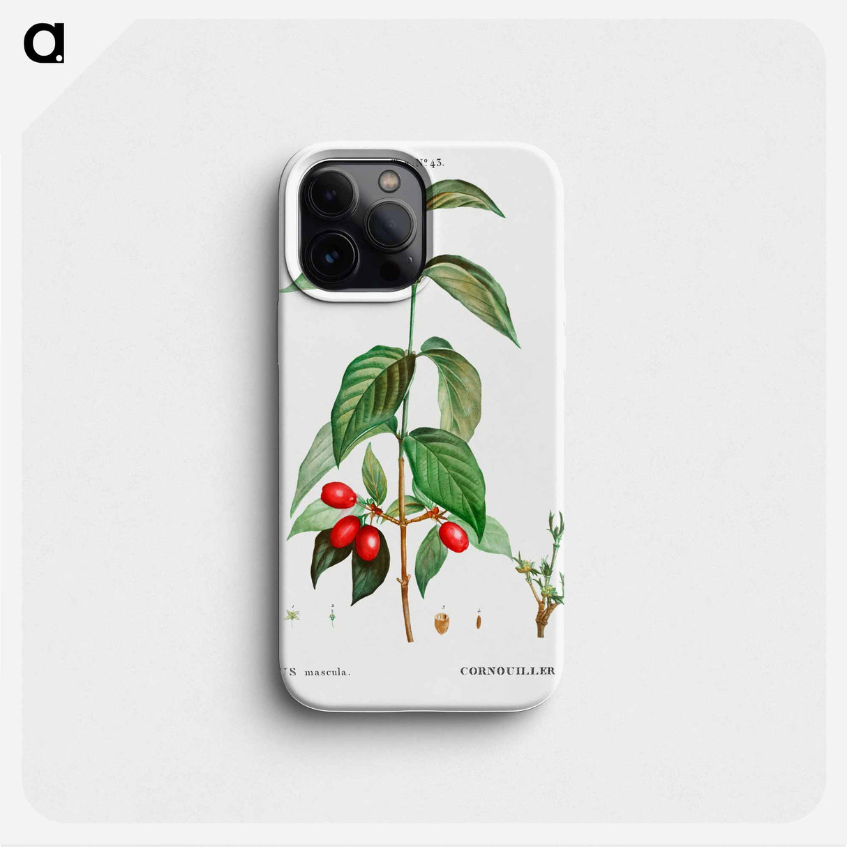 Dogwood (Cornus mas) - Pierre Joseph Redouté Phone Case.