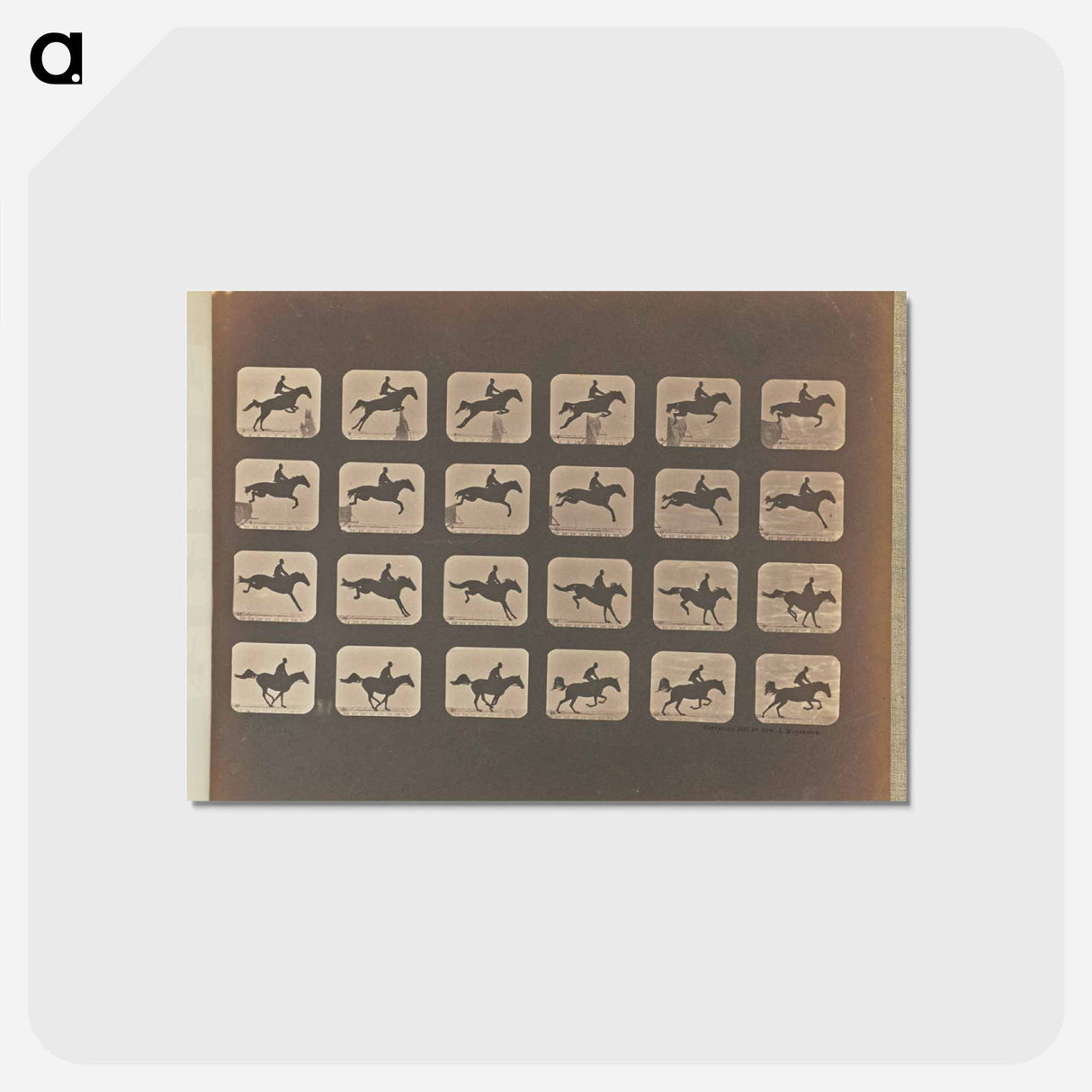 アートポストカード-Leaping
 - エドワード マイブリッジ Postcard.