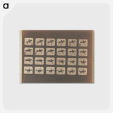アートポストカード-Leaping
 - エドワード マイブリッジ Postcard.