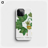 Tulip tree - Pierre Joseph Redouté Phone Case.