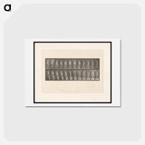 アートポストカード-Ascending Nude
 - エドワード マイブリッジ Postcard.