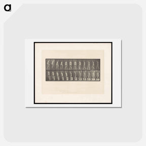 アートポストカード-Ascending Nude
 - エドワード マイブリッジ Postcard.