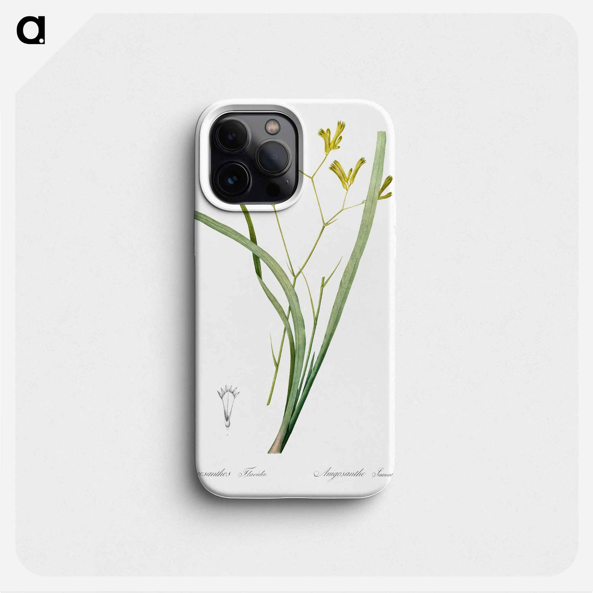 Anigozanthos flavida illustration - Pierre Joseph Redouté Phone Case.