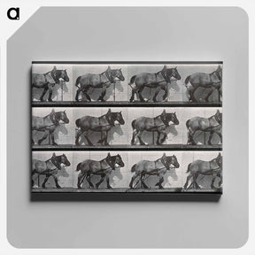 アートパネル-Cart-Horse Walking
 - エドワード マイブリッジ Canvas.