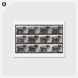 アートポストカード-Cart-Horse Walking
 - エドワード マイブリッジ Postcard.