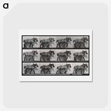 アートポストカード-Cart-Horse Walking
 - エドワード マイブリッジ Postcard.
