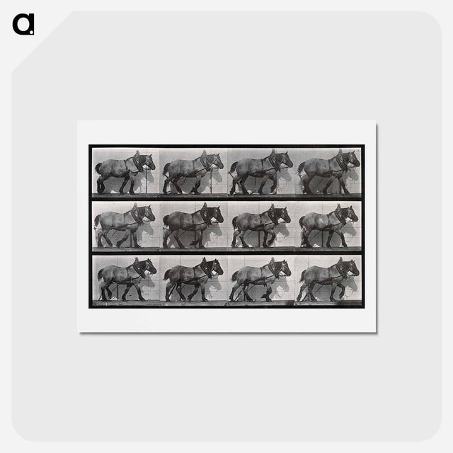 アートポストカード-Cart-Horse Walking
 - エドワード マイブリッジ Postcard.