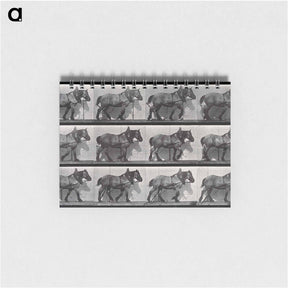 アートメモ帳-Cart-Horse Walking
 - エドワード マイブリッジ Memo.