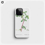 Portulaca Oleracea (Common Purslane) - Pierre Joseph Redouté Phone Case.