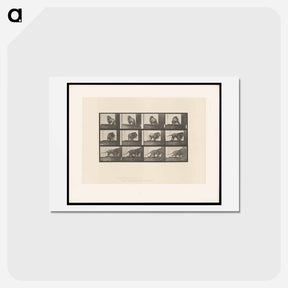 アートポストカード-Walking Lion
 - エドワード マイブリッジ Postcard.