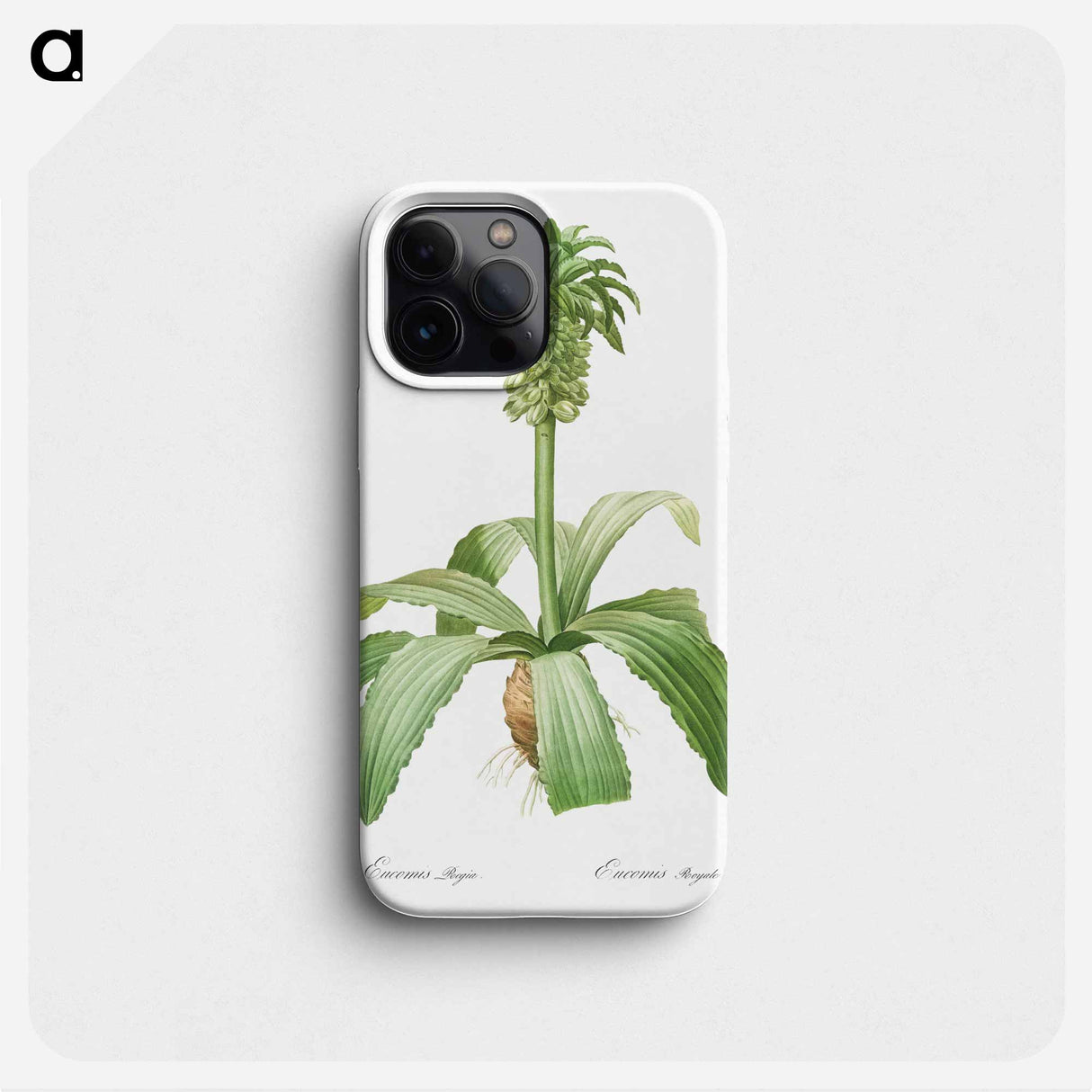 Eucomis regia - Pierre Joseph Redouté Phone Case.