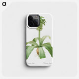 Eucomis regia - Pierre Joseph Redouté Phone Case.