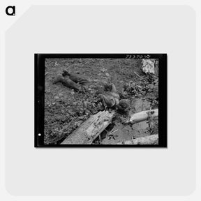 アートポストカード-Lumberjack's Spring
 - ラッセル リー Postcard.