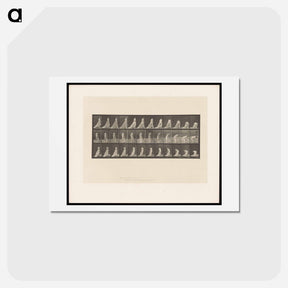 アートポストカード-Sheer Dress Walker
 - エドワード マイブリッジ Postcard.