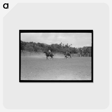 アートポストカード-Calf Roping at Quemado
 - ラッセル リー Postcard.