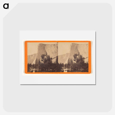 アートポストカード-Putochahmila
 - エドワード マイブリッジ Postcard.
