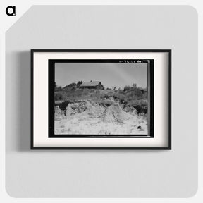 アートポスター-Eroded cotton farm near Jackson, Mississippi - ドロテア ラング Poster.