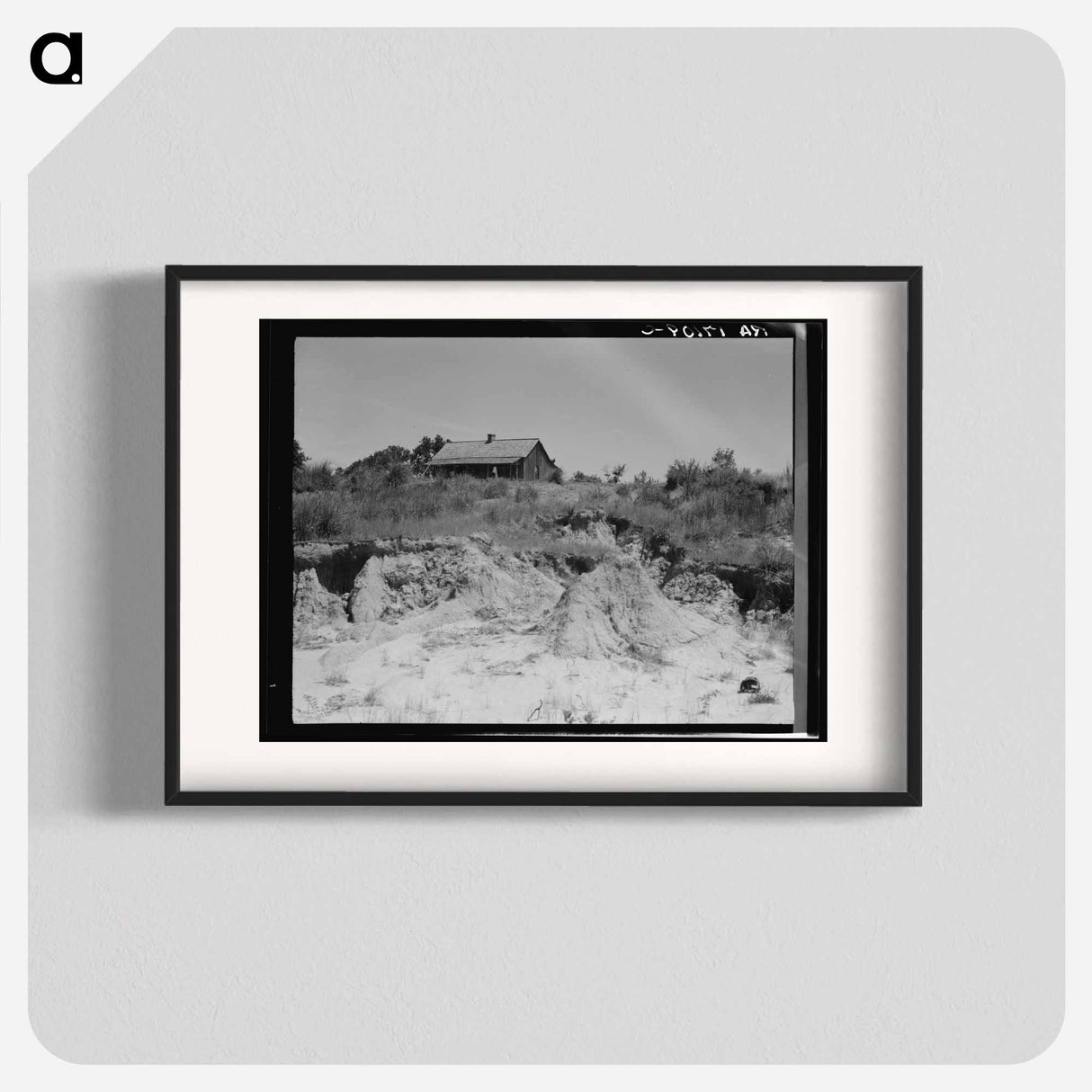 Eroded cotton farm near Jackson, Mississippi - Dorothea Lange Poster.