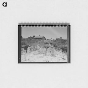アートメモ帳-Eroded cotton farm near Jackson, Mississippi - ドロテア ラング Memo.