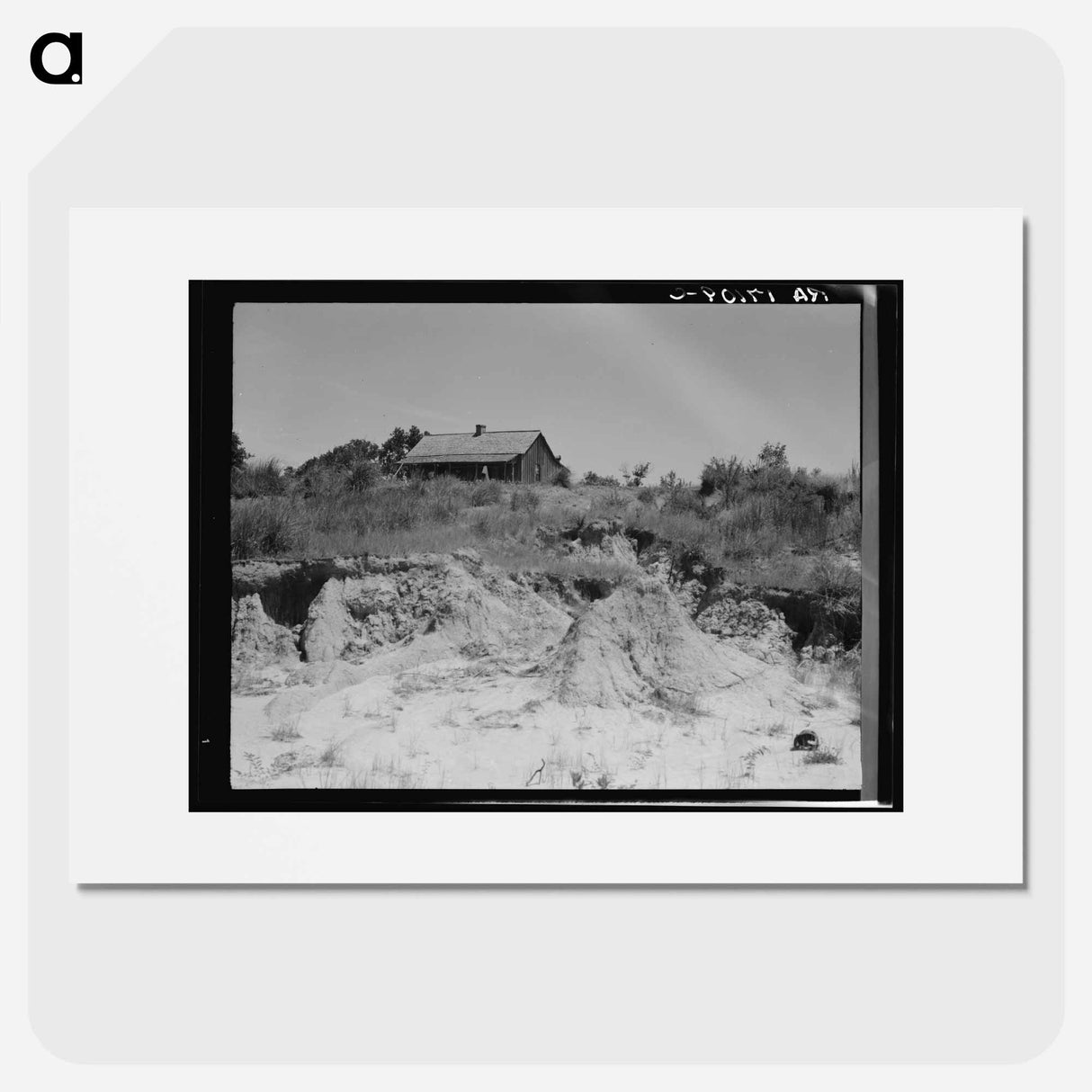 Eroded cotton farm near Jackson, Mississippi - ドロテア ラング Poster.