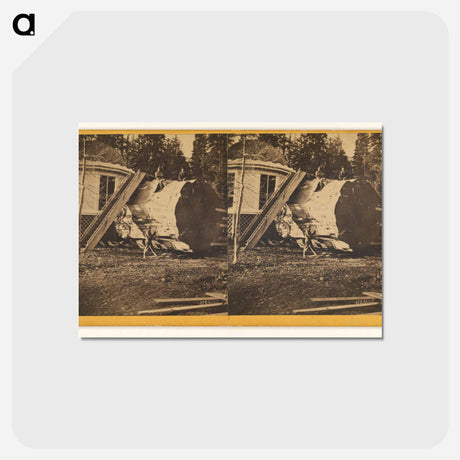 アートポストカード-Big Trees, Mariposa
 - エドワード マイブリッジ Postcard.