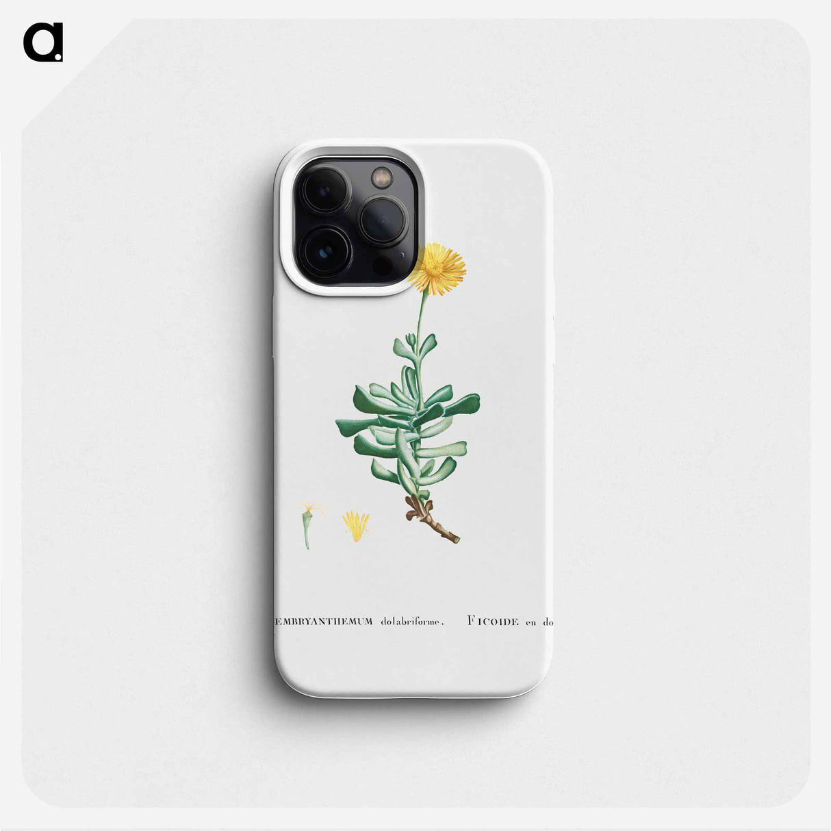 Mesembryanthemum Dolabriforme (Fig–marigold) - Pierre-Joseph Redouté Phone Case.