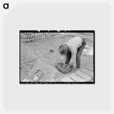 アートポストカード-Brick Making in Chamisal
 - ラッセル リー Postcard.