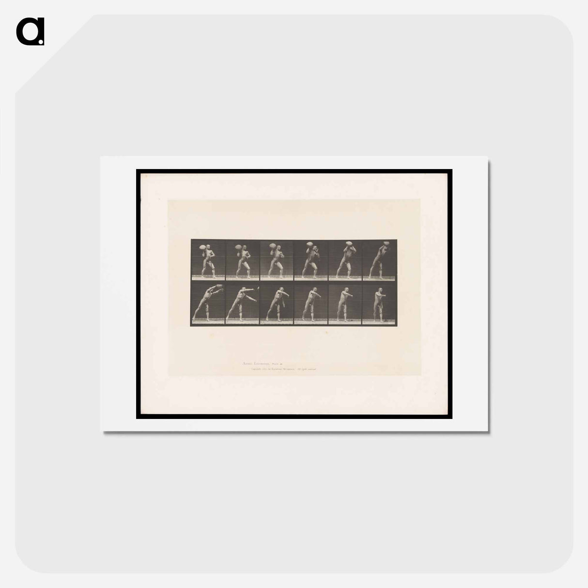アートポストカード-Man Throwing a Boulder
 - エドワード マイブリッジ Postcard.