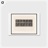 アートポストカード-Man Throwing a Boulder
 - エドワード マイブリッジ Postcard.