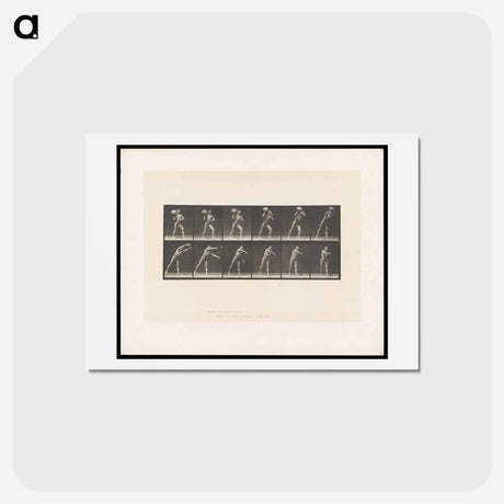 アートポストカード-Man Throwing a Boulder
 - エドワード マイブリッジ Postcard.