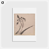 アートポストカード-Album of Sketches - 葛飾 北斎 Postcard.
