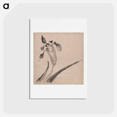 アートポストカード-Album of Sketches - 葛飾 北斎 Postcard.