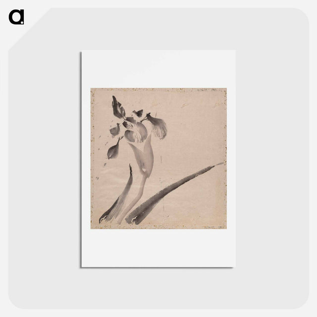 アートポストカード-Album of Sketches - 葛飾 北斎 Postcard.