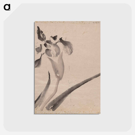 アートポストカード-Album of Sketches - 葛飾 北斎 Postcard.