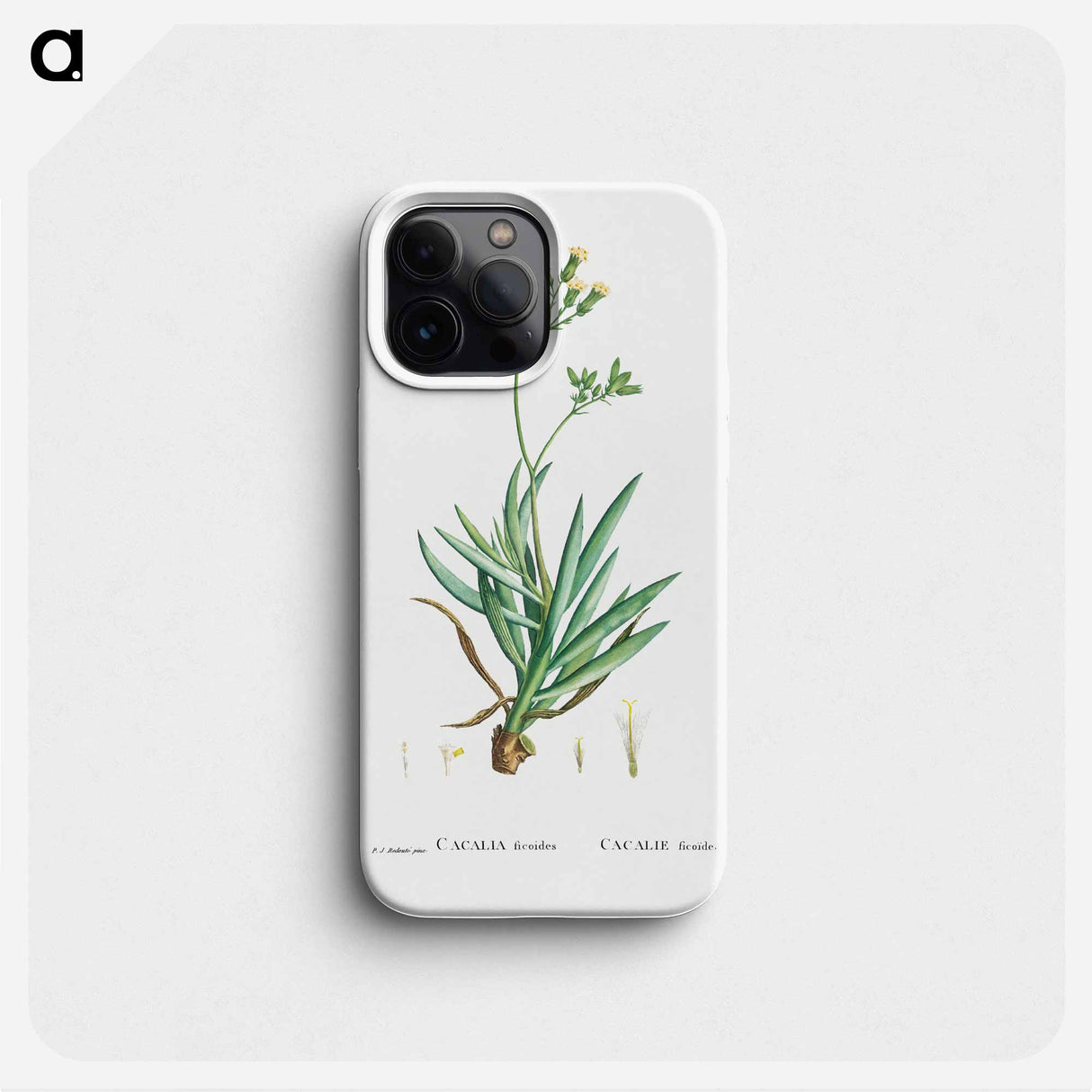 Cacalia Ficoides (Blue Chalk Stick) - Pierre Joseph Redouté Phone Case.