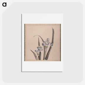 アートポストカード-Orchid Flower - 葛飾 北斎 Postcard.