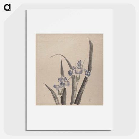 アートポスター-Orchid Flower - 葛飾 北斎 Poster.