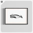 アートポスター-Whale from The Earth, Tricone Of Universal Geography For G. Marinelli And Other Italian Scientists, Etc
 - 大英図書館 Poster.