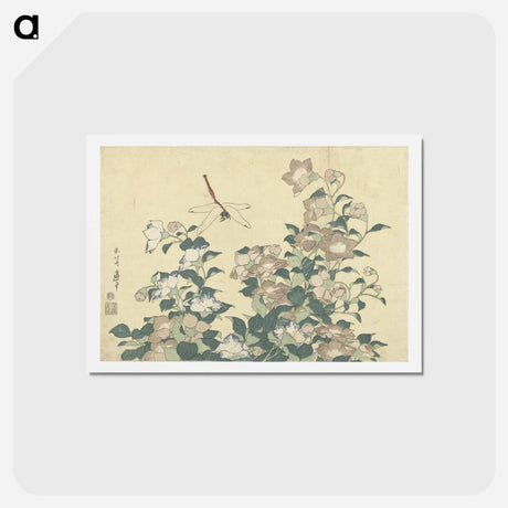 アートポストカード-Dragonfly and Bellflower - 葛飾 北斎 Postcard.