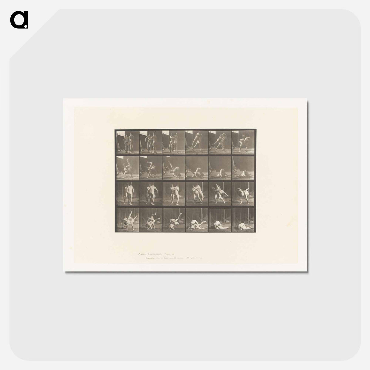アートポストカード-Wrestling Men
 - エドワード マイブリッジ Postcard.
