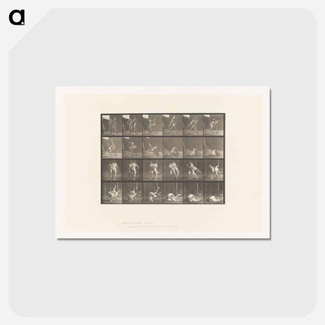 アートポストカード-Wrestling Men
 - エドワード マイブリッジ Postcard.