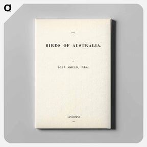 アートパネル-Birds of Australia
 - ジョン グールド Canvas.