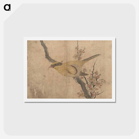 アートポストカード-Album of Sketches by Katsushika Hokusai and His Disciples - 葛飾 北斎 Postcard.
