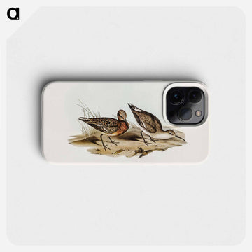 Curlew Sandpiper
 - ジョン グールド Phone Case.