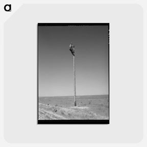 アートポストカード-Lineman. Canyon County, Idaho
 - ラッセル リー Postcard.