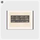 アートポストカード-Dogs Fighting Over Cloth
 - エドワード マイブリッジ Postcard.